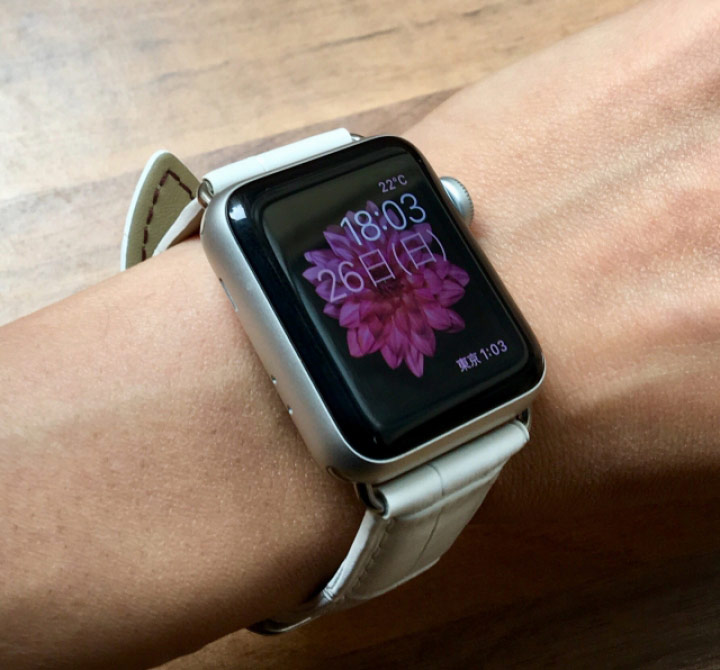 Apple watch series2 42mm 繧ｸ繝｣繝ｳ繧ｯ蜩� - 1